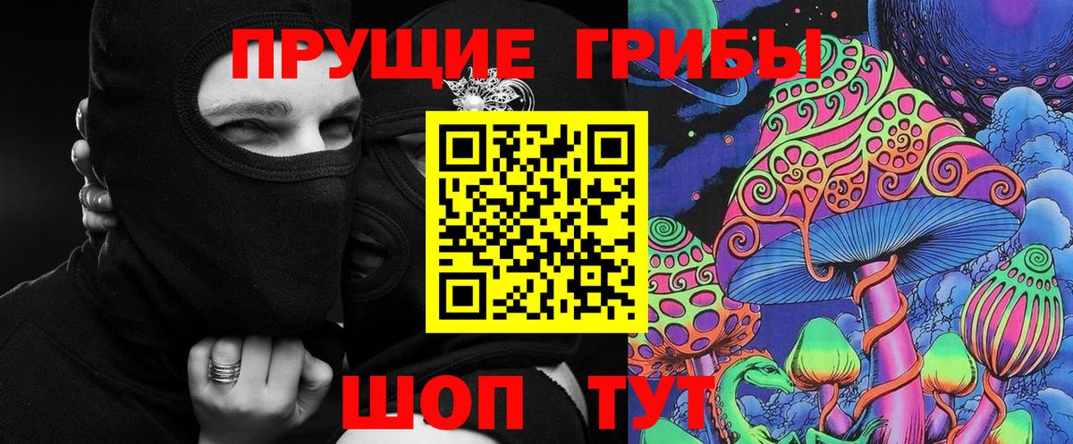 как найти   Галлюциногенные грибы GOLDEN TEACHER  Псилоцибиновые грибы MAGIC MUSHROOMS  Вход с VPN  Нефтекамск 
