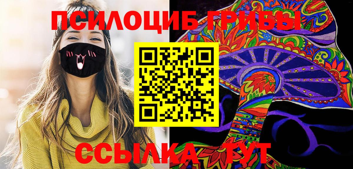 Псилоцибиновые грибы мицелий Нефтекамск